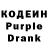 Кодеиновый сироп Lean Purple Drank Ludmila Tolstaya