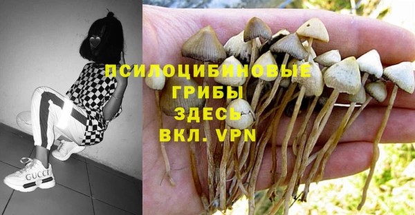 герыч Новозыбков