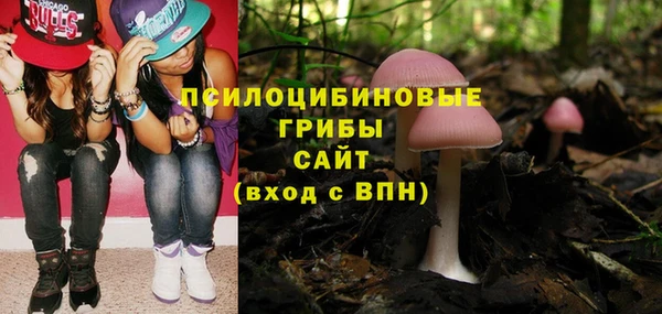 экстази Новодвинск