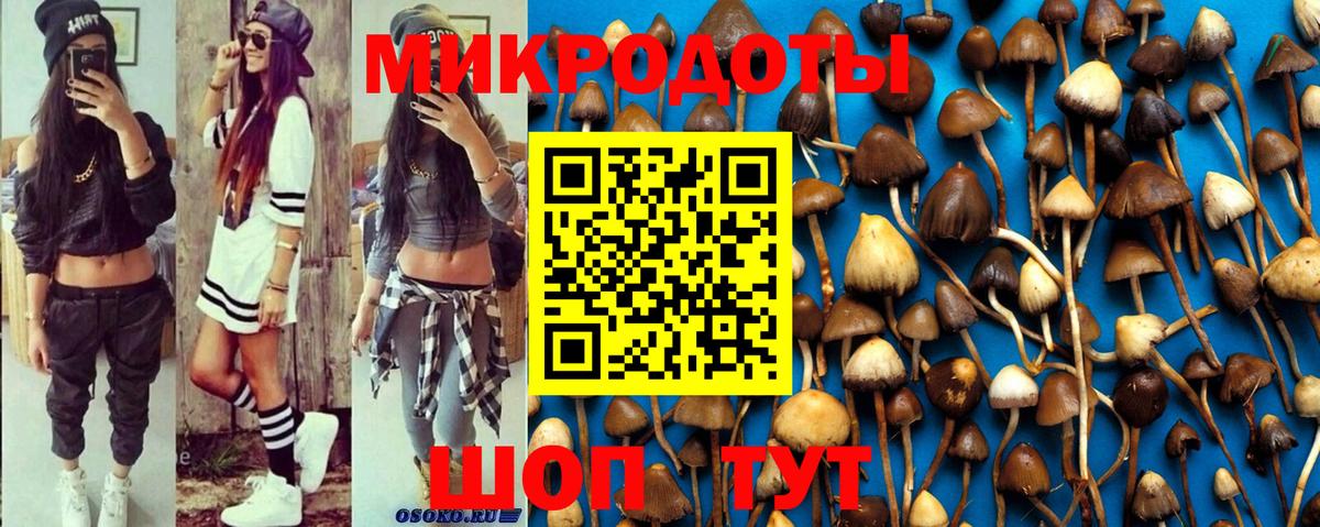 Псилоцибиновые грибы MAGIC MUSHROOMS Алексеевка