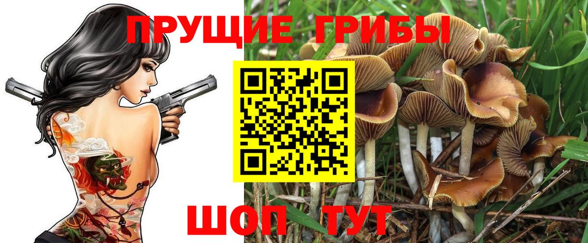 Алексеевка  Псилоцибиновые грибы мицелий  Вход с VPN 