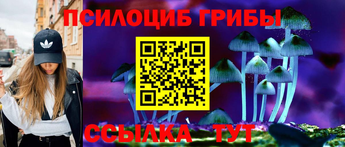 Галлюциногенные грибы GOLDEN TEACHER  Псилоцибиновые грибы MAGIC MUSHROOMS  где продают наркотики  Алексеевка 