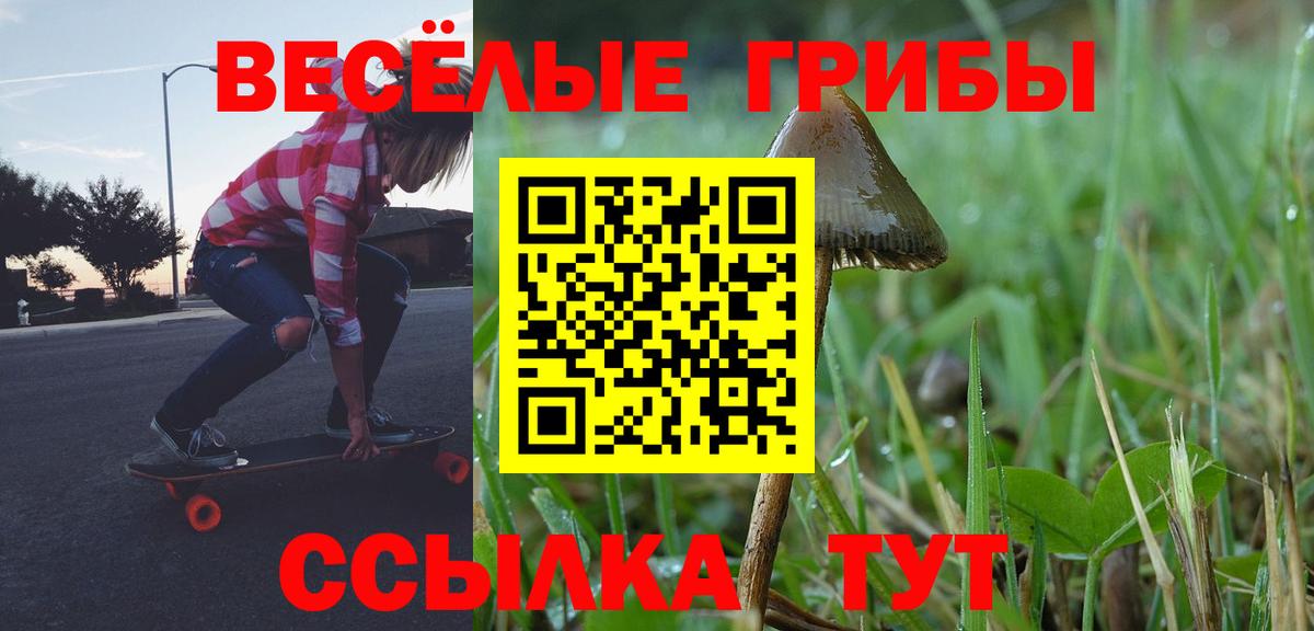 цена наркотик  Псилоцибиновые грибы GOLDEN TEACHER  Вход с VPN  Алексеевка  Галлюциногенные грибы мицелий 